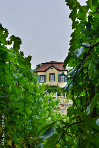 Haus im Weinberg