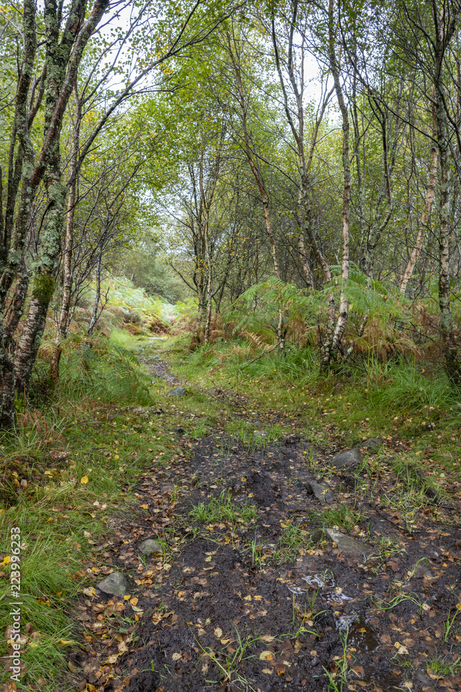 Muddy Footpath Muddy Footpath