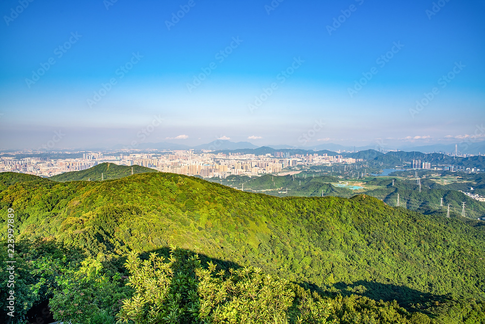 Fototapeta premium Shenzhen's forests and cities