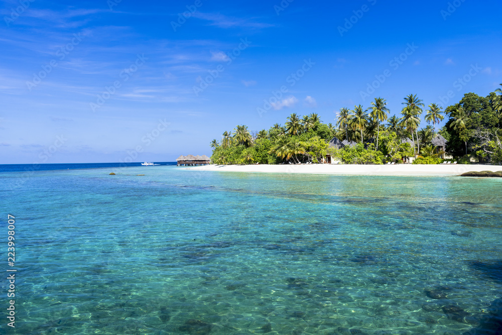 Fototapeta premium インド洋の美しいサンゴ礁の海