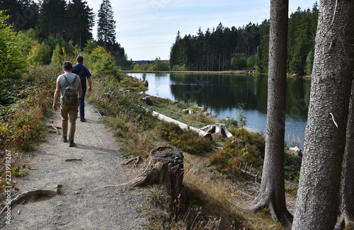 Wandern am Grumbacher Teich photo