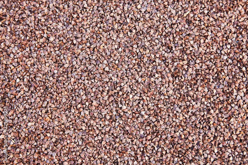 Dark Buckwheat texture. Buckwheat groats in skin (in shell). Dark Buckwheat texture. Buckwheat groats in skin (in shell).