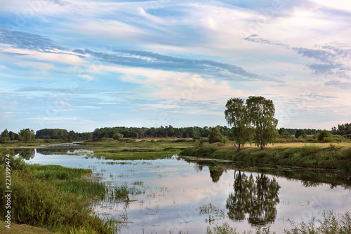 Fototapeta Naklejka Na Ścianę i Meble -  overgrown river with two birches on the shore