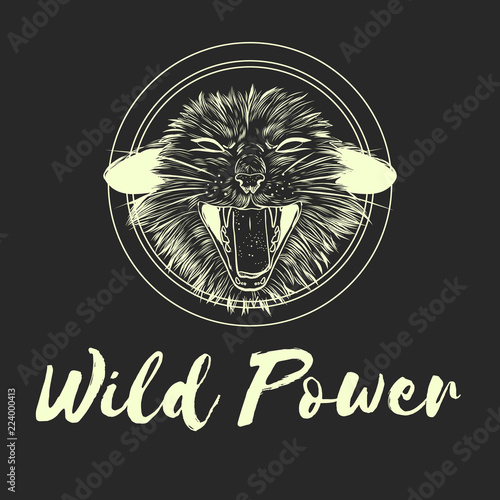 Fashion Vector illustration. Design and print for T-shirts on the theme of the struggle for animal rights, Wild Power. T shirt for vegans. A furious cat in the style of ink. Animal liberation logo