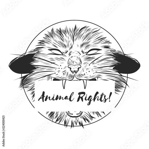 Fashion Vector illustration. Design and print for T-shirts on the theme of the struggle for animal rights, Wild Power. T-shirt for vegans. A furious cat in the style of ink. Animal liberation logo