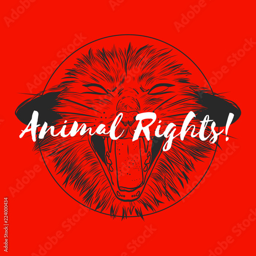 Fashion Vector illustration. Design and print for T-shirts on the theme of the struggle for animal rights, Wild Power. T-shirt for vegans. A furious cat in the style of ink. Animal liberation logo