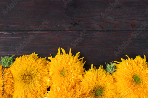 Fototapeta Naklejka Na Ścianę i Meble -  Sunflowers on wooden board, floral frame