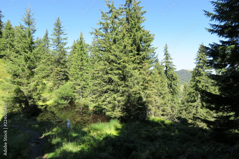 Obraz premium Wildschönau