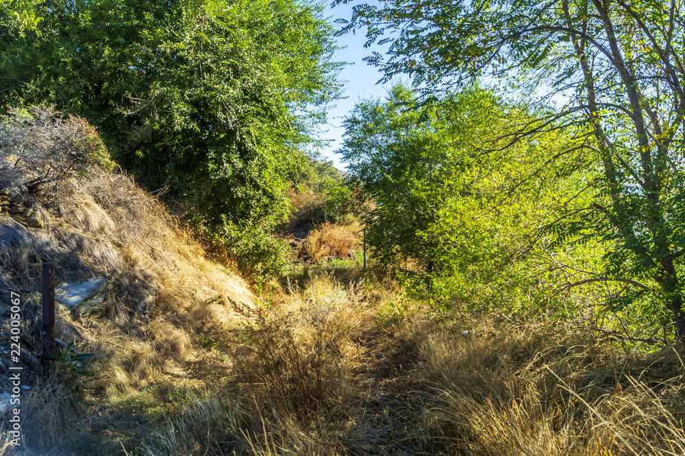 Landscape, mountain panorama, last days of summer Landscape, mountain panorama, last days of summer