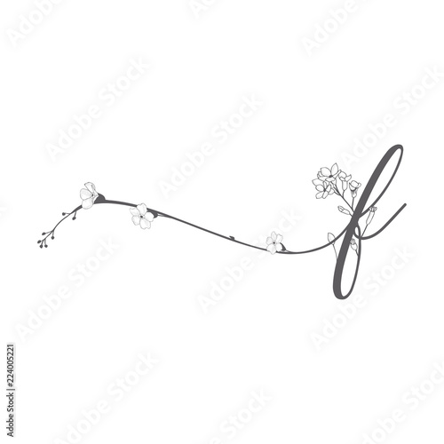 Vector Hand Drawn floral f monogram and logo