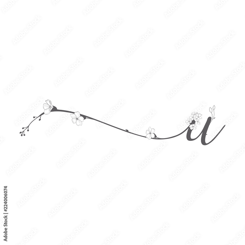Vector Hand Drawn floral U monogram and logo Vector Hand Drawn floral U monogram and logo