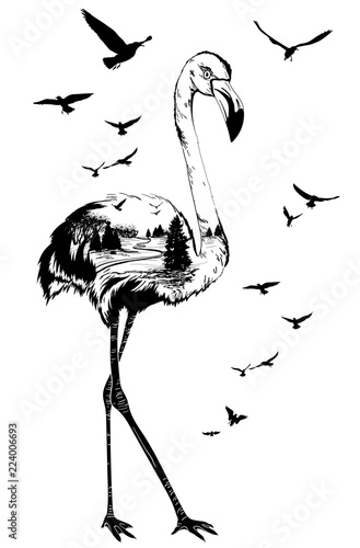 Vector Double exposure, flamingo bird, wildlife concept