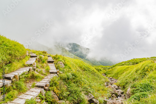 初秋の登山道 山形県月山