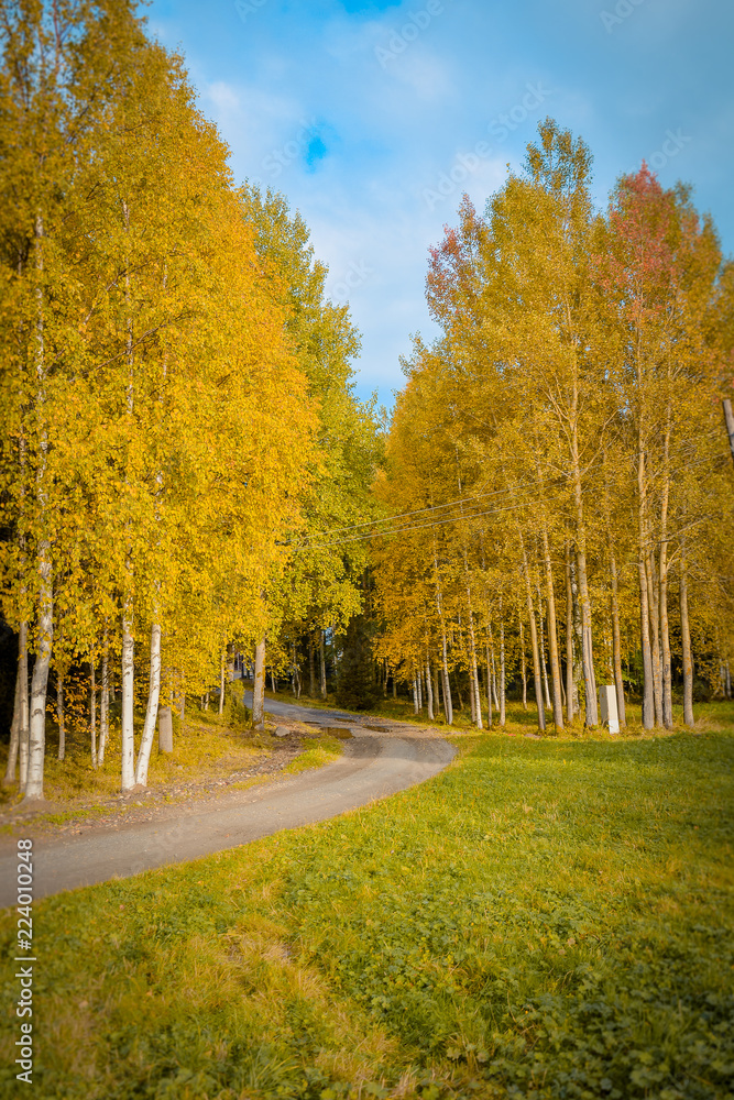 Fototapeta premium tourism in small Karelians near Arkhangelsk