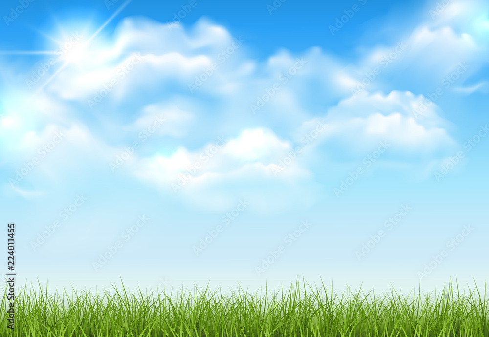 Beautiful vector sunny lawn or meadow with fluffy clouds and sun in the sky Beautiful vector sunny lawn or meadow with fluffy clouds and sun in the sky