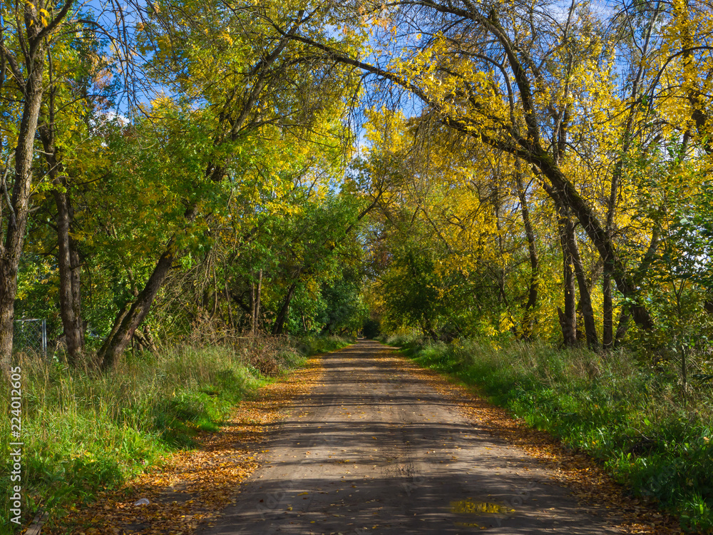 Autumn road. Rural landscape.