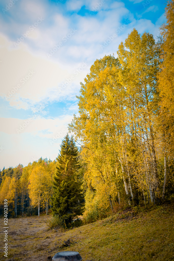 Fototapeta premium tourism in small Karelians near Arkhangelsk