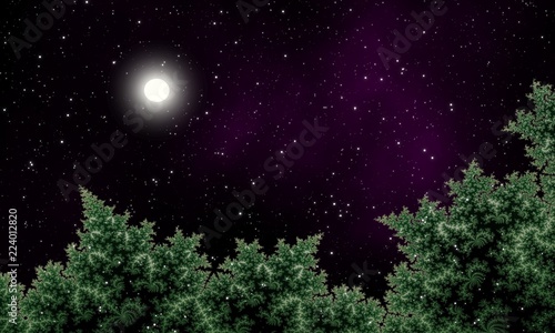 Night sky over pine forest with full moon © Rassamee design