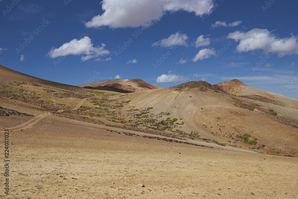 Colourful desert landscape in Lauca National Park on the altiplano of northern Chile