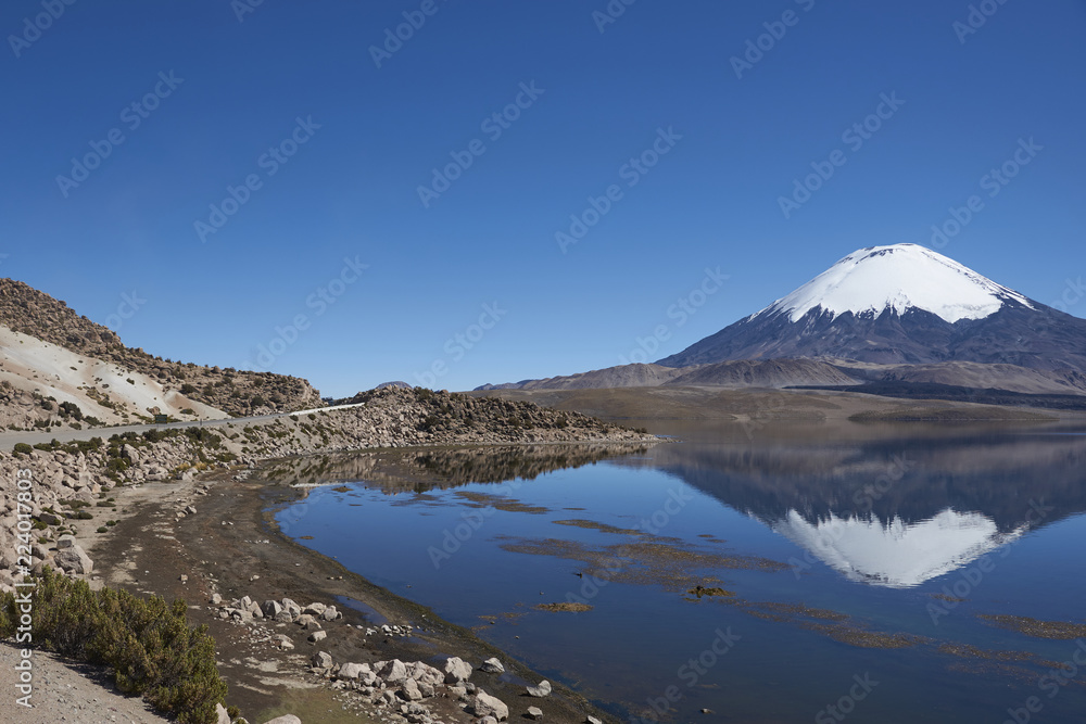 Snow capped Parinacota Volcano, 6,324m high, reflected in Lake Chungara on the Altiplano of northern Chile.