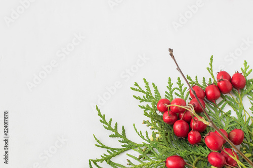 Holiday background with christmas branches