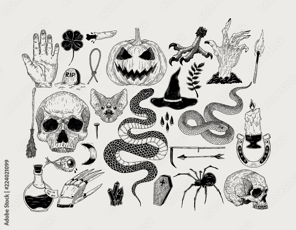 Fototapeta premium Vector vintage hand drawn Halloween graphics. Pumpkin, skull, witch, snake, candle, bat, spider,poison, spell, grave.