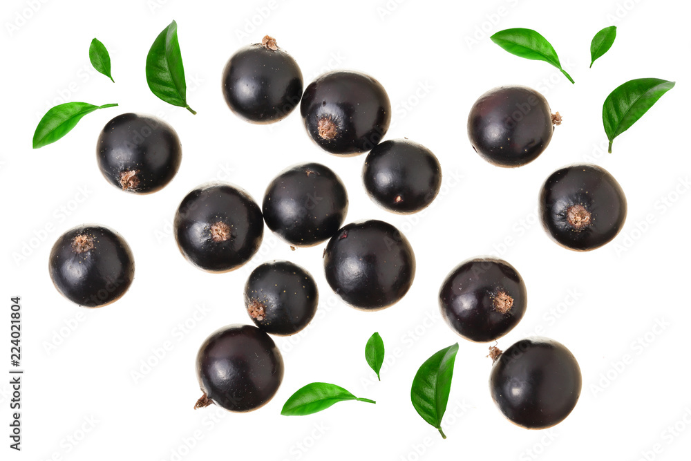 black currant isolated on white background. Top view. Flat lay pattern black currant isolated on white background. Top view. Flat lay pattern