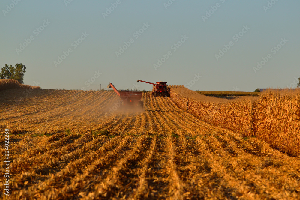 Fotografie 2018 Midwest Harvest 0013