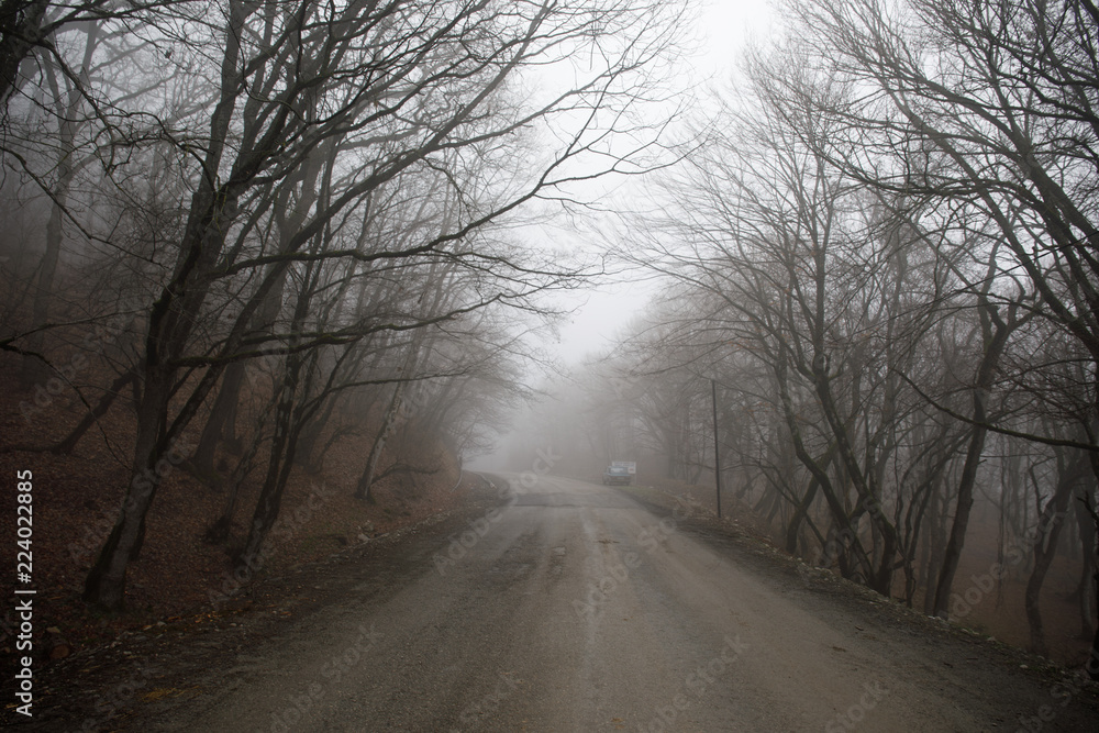 Landscape with beautiful fog in forest on hill or Trail through a mysterious winter forest with autumn leaves on the ground. Road through a winter forest. Magical atmosphere. Azerbaijan Landscape with beautiful fog in forest on hill or Trail through a mysterious winter forest with autumn leaves on the ground. Road through a winter forest. Magical atmosphere. Azerbaijan