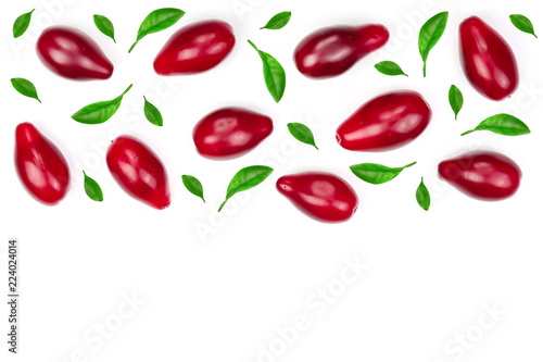 Red berries of cornel or dogwood decorated with green leaves isolated on white background with copy space for your text. Top view. Flat lay