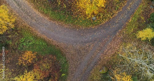 Aerial view of autumn road houses and forest. Drone rising directly above to foggy and misty clouds in Kangasala, Finland. Green and yellow trees and cloudy day. photo