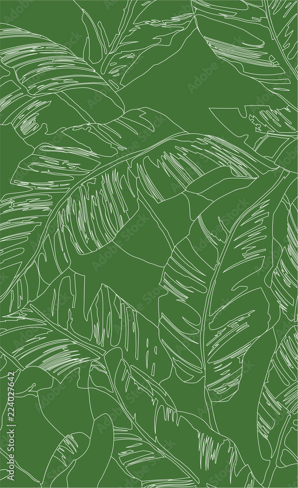 Fototapeta premium White lines pattern banana tree and leaves that it is a tropical plant on green background, flat line vector and illustration.