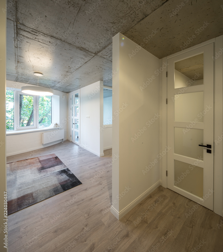 Entrance hall and corridor in a modern apartment. Entrance hall and entrance door to studio apartments.
