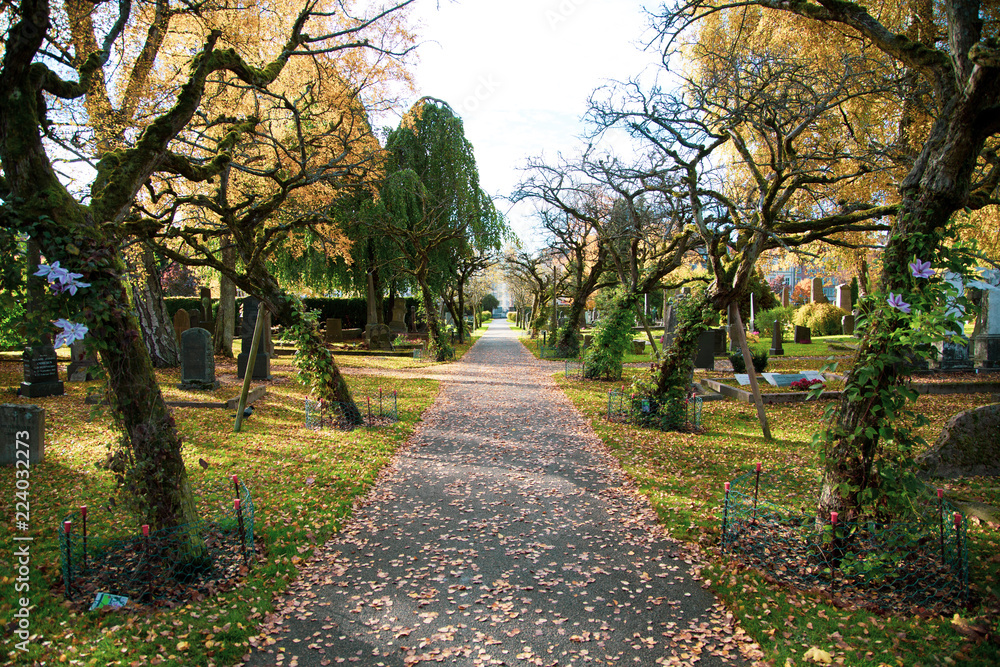 beautiful and silent romantic cemetery in a autumn day, Oslo city