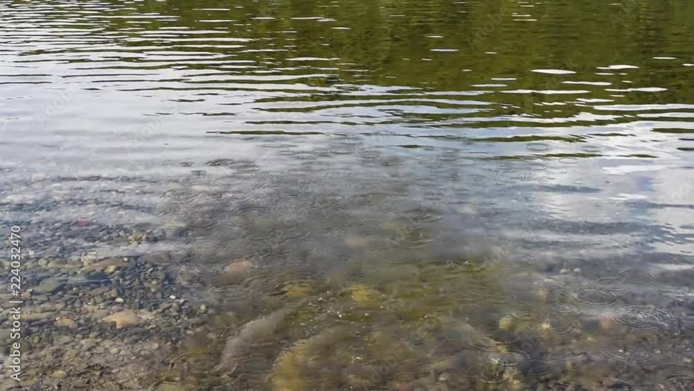 Clear water in the river in summer and winter with a rocky bottom, small pebbles and a small current Clear water in the river in summer and winter with a rocky bottom, small pebbles and a small current