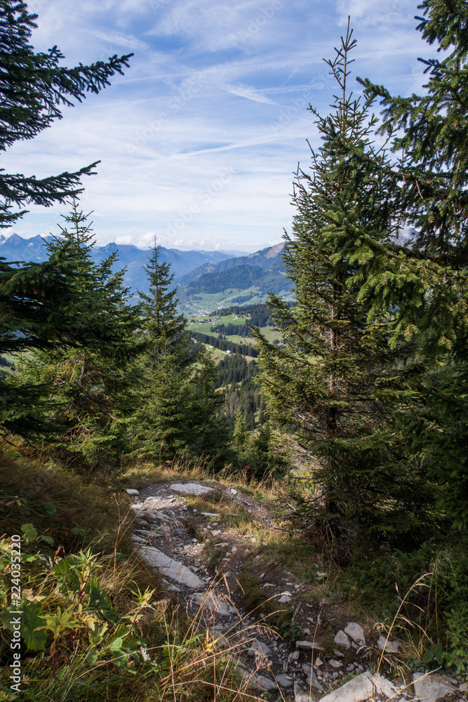 Hiking trail in Switzerland (mountains) Hiking trail in Switzerland (mountains)