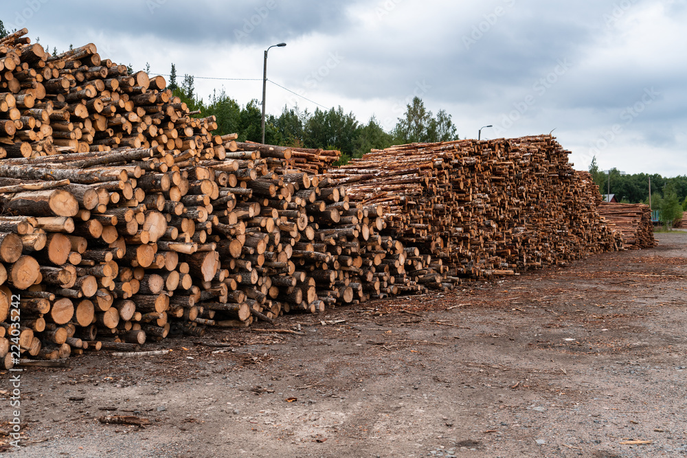 Stock of timber