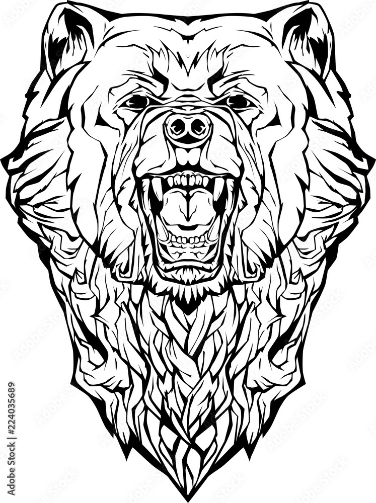 angry bear. Isolated. Coloring page. Stock Vector | Adobe Stock
