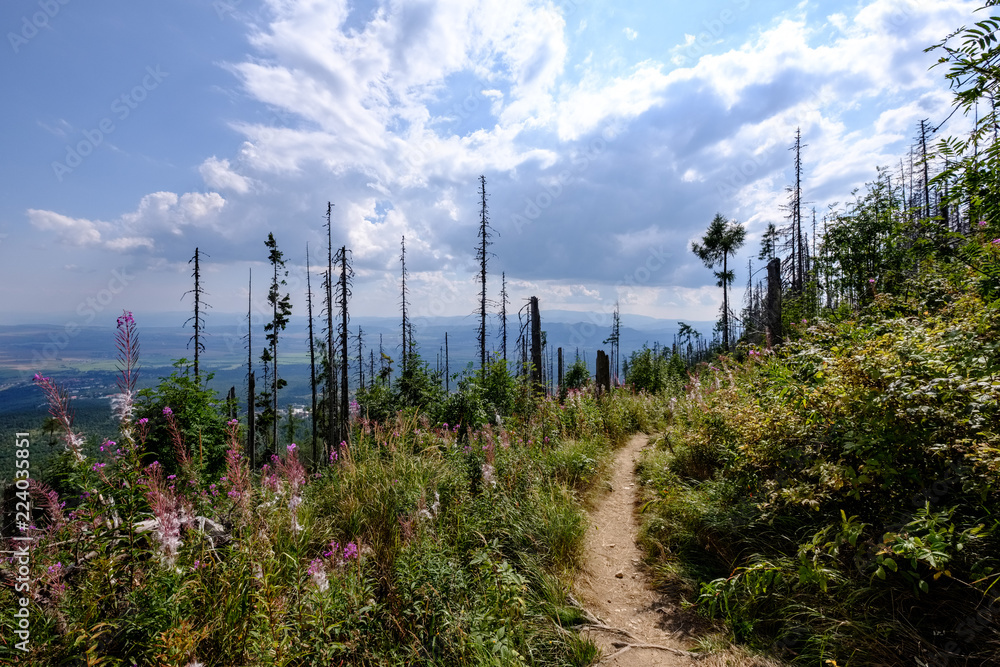hiking trail in tatra mountains in Slovakia hiking trail in tatra mountains in Slovakia