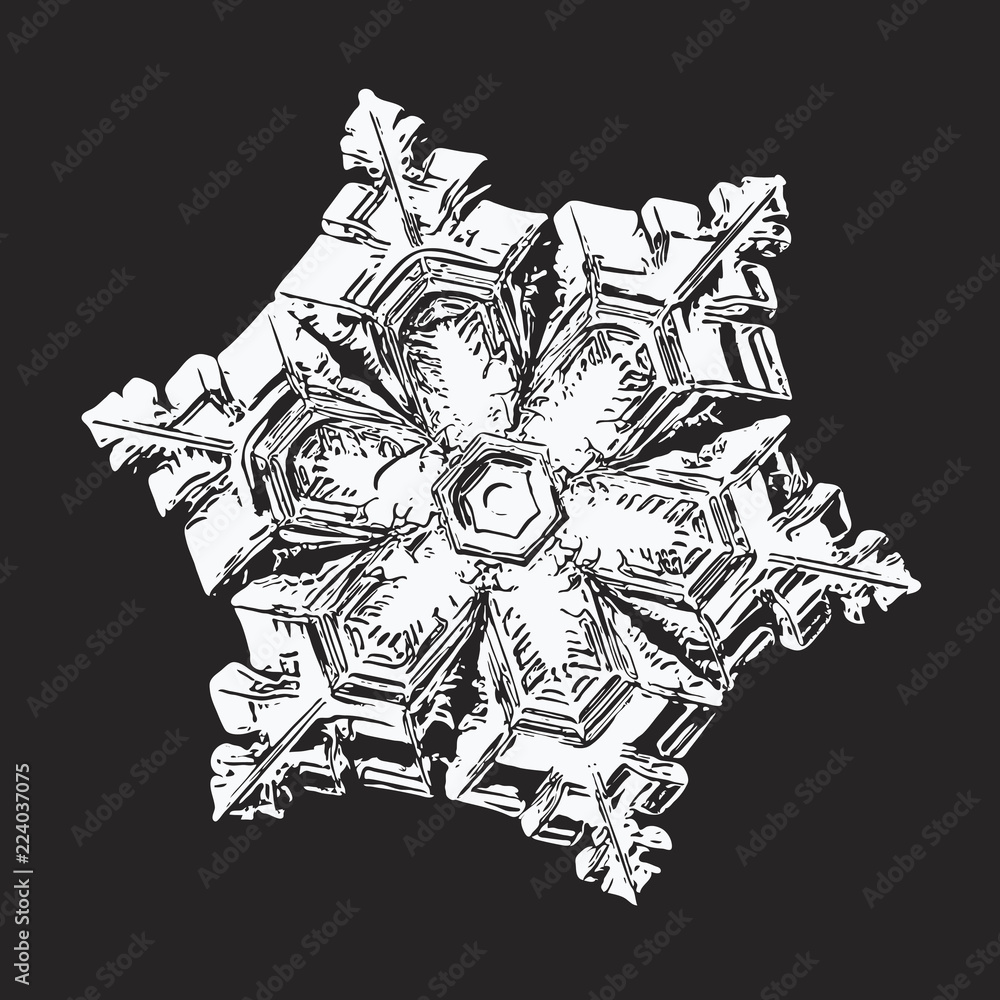White snowflake on black background. This vector illustration based on macro photo of real snow crystal: elegant star plate with six short, ornate arms, relief surface and complex inner details.