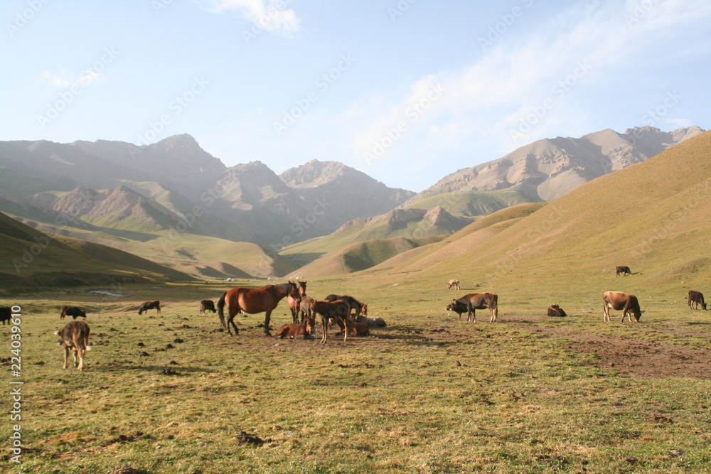 panorama du Kirghizistan