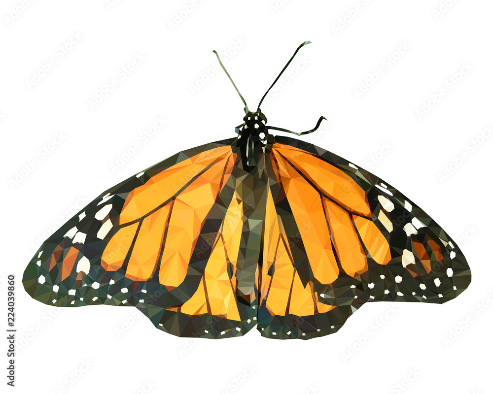 Fototapeta premium Vector illustration of low poly butterfly. Geometric polygonal butterfly silhouette. Butterfly triangles low poly vector.