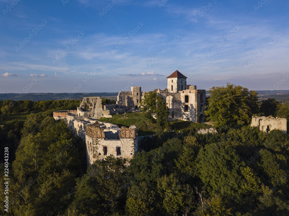 ruins of the Tenczyn castle, Poland
