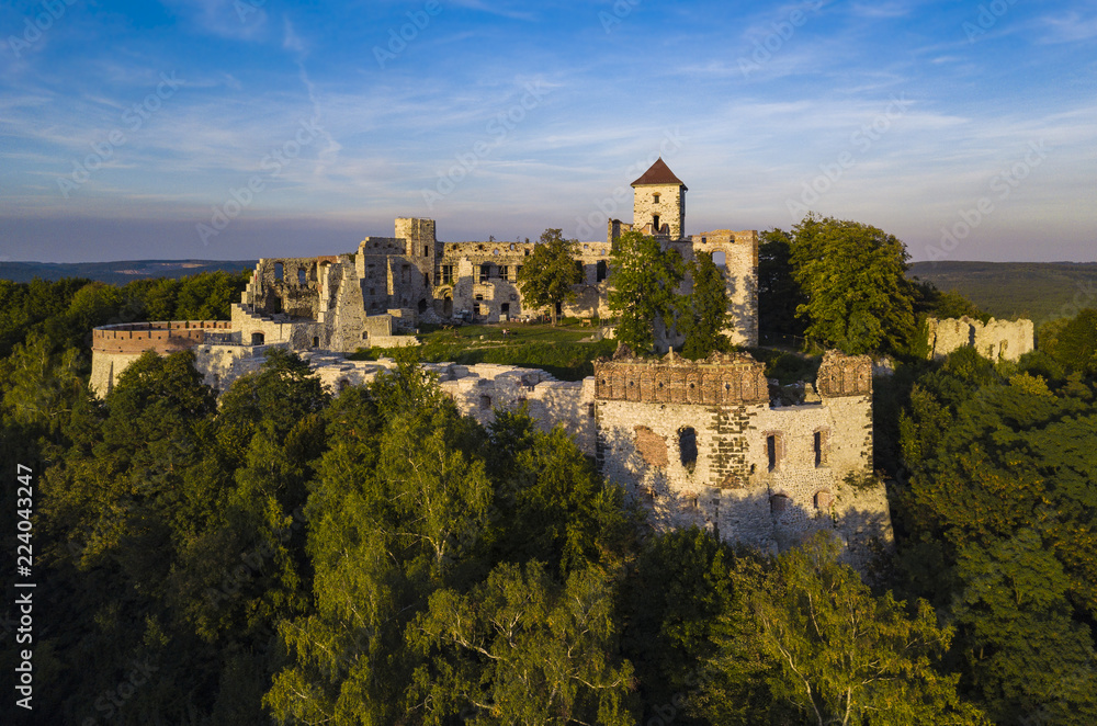 ruins of the Tenczyn castle, Poland ruins of the Tenczyn castle, Poland