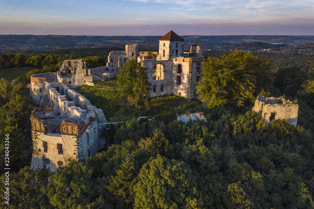 ruins of the Tenczyn castle, Poland
