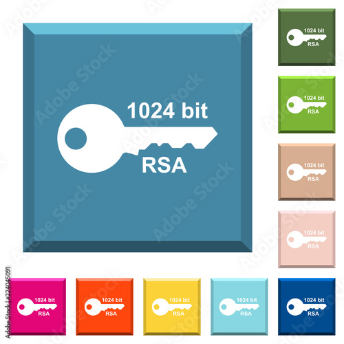 1024 bit rsa encryption white icons on edged square buttons