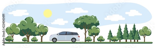 gray car rides past trees and shrubs