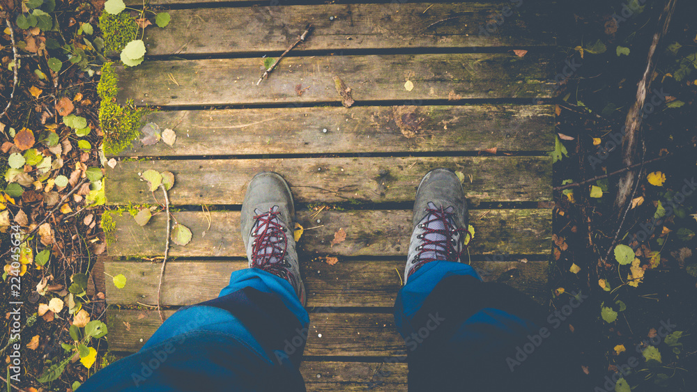 Fototapeta premium Standing on a crossing in the forest path.