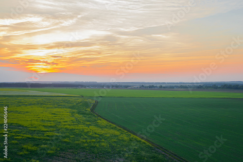 orange sunset over a green sown field