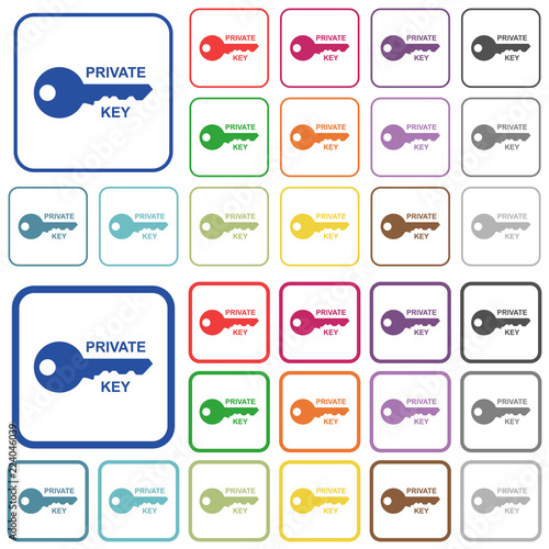 Private key outlined flat color icons